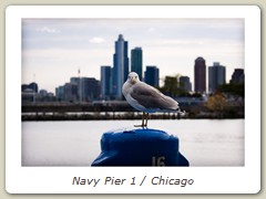 Navy Pier 1 / Chicago